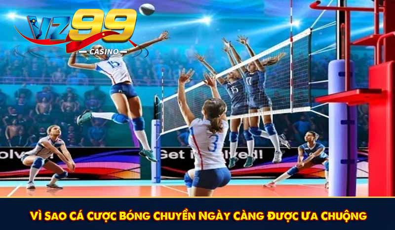 Vì Sao Cá Cược Bóng Chuyền Ngày Càng Được Ưa Chuộng